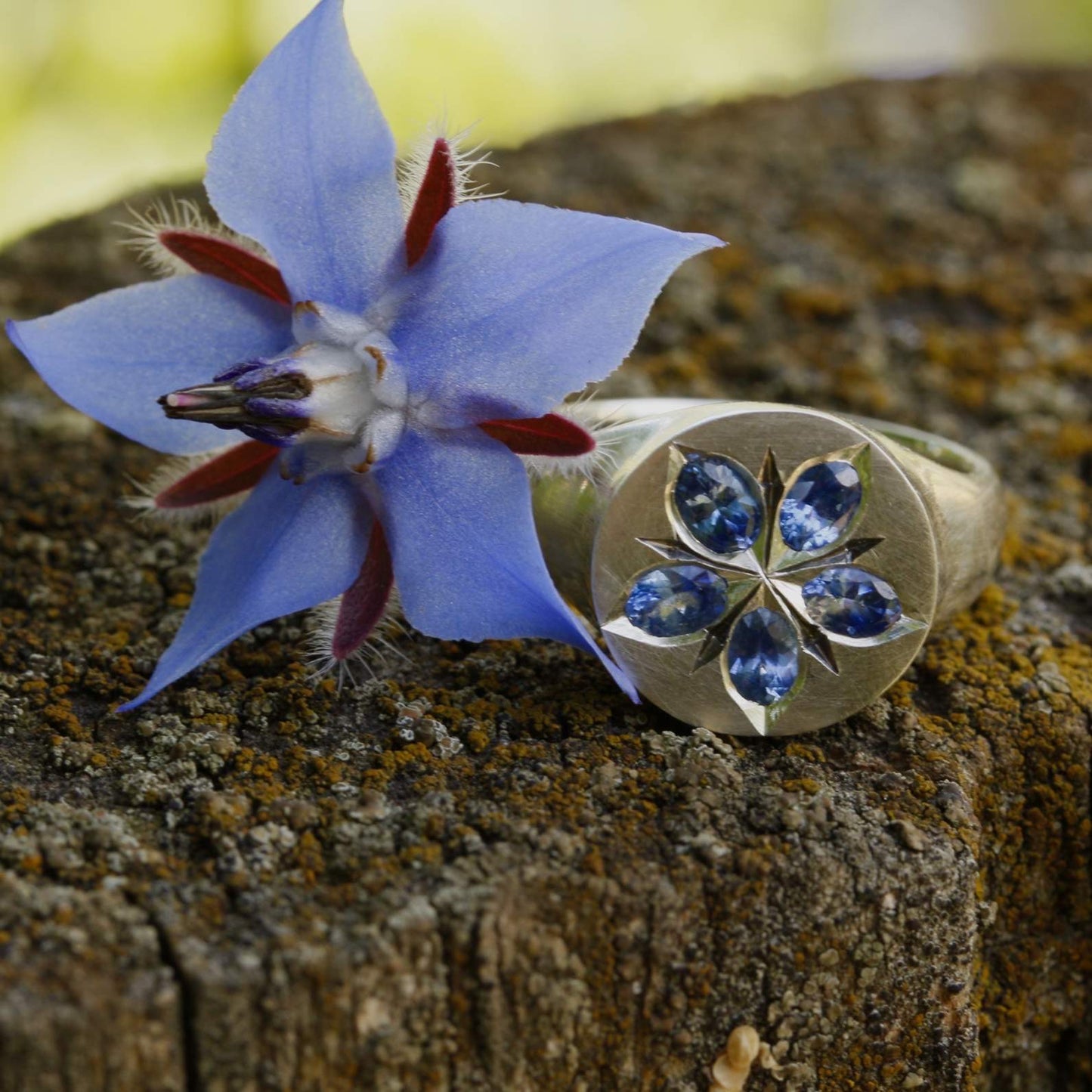Starflower borage signet ring