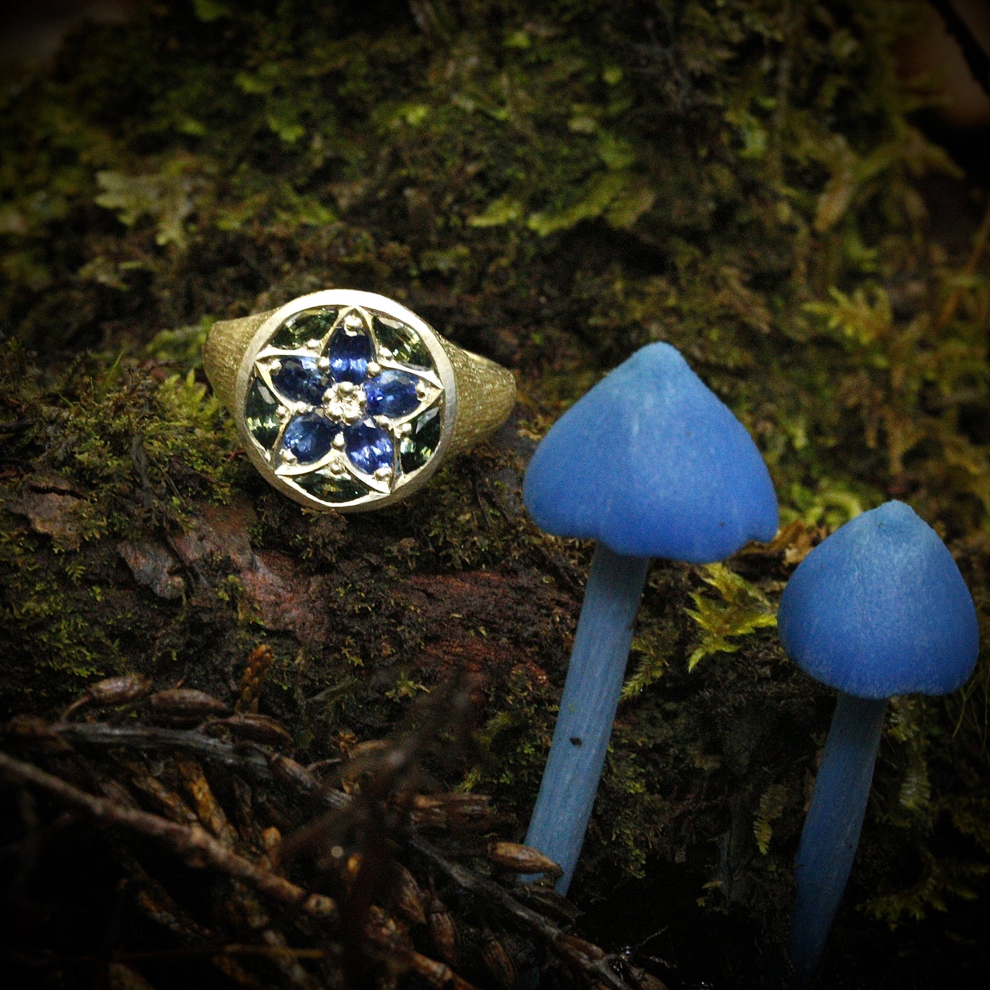 Werewere kōkako signet ring