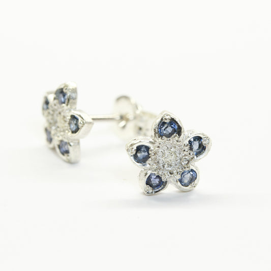 Sapphire wahlenbergia studs